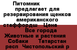 Питомник KURAT GRAD предлагает для резервирования щенков американского стаффордш › Цена ­ 25 000 - Все города Животные и растения » Собаки   . Татарстан респ.,Чистопольский р-н